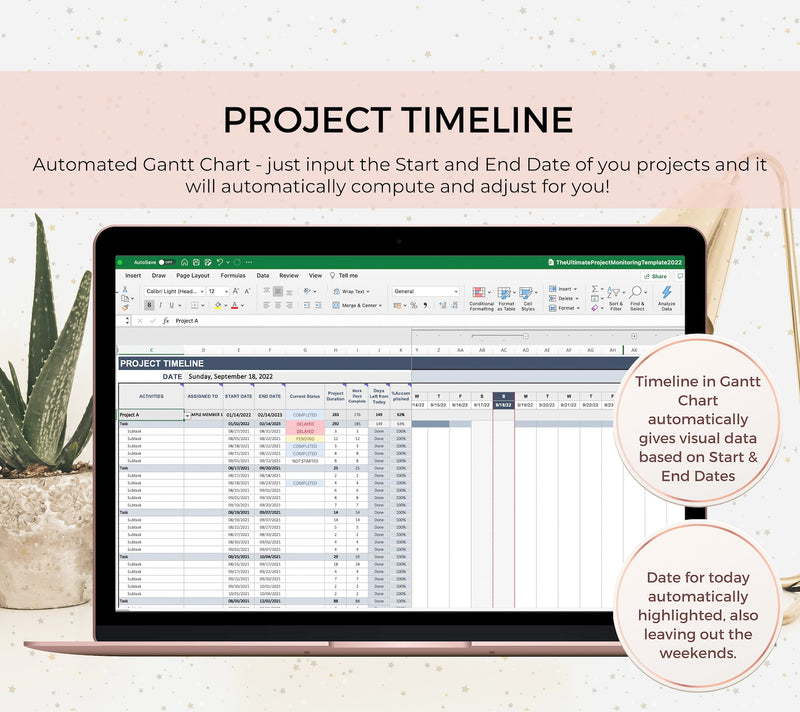 Project Management Template, Excel Dashboard, Project Tracker, Project Planner, Excel Template, Project Timeline, Gantt Chart, Task Tracker