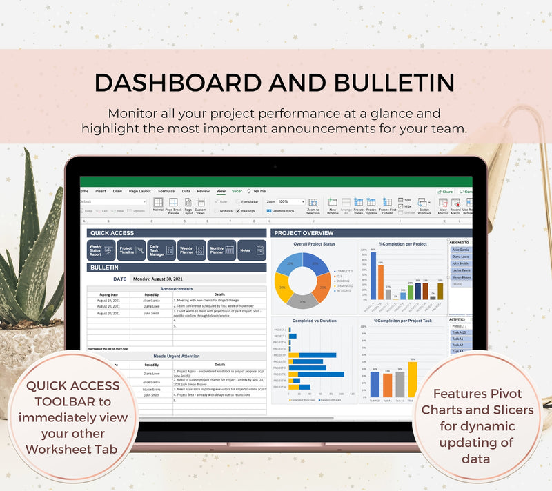 Project Management Template, Excel Dashboard, Project Tracker, Project Planner, Excel Template, Project Timeline, Gantt Chart, Task Tracker